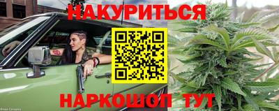 дживик Будённовск