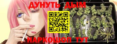 дживик Будённовск