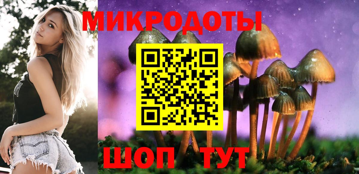 Галлюциногенные грибы Psilocybine cubensis Татарск