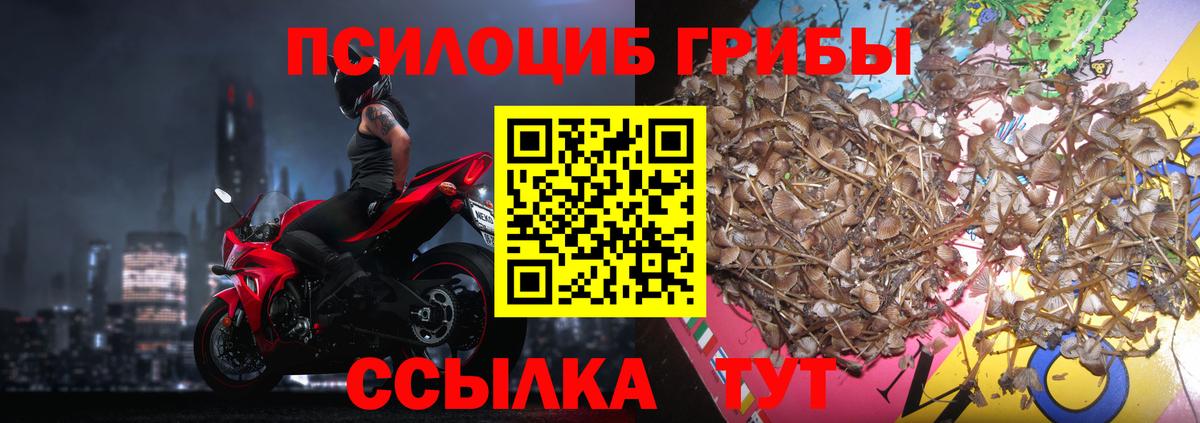 Галлюциногенные грибы Psilocybine cubensis  Вход с VPN  Татарск 